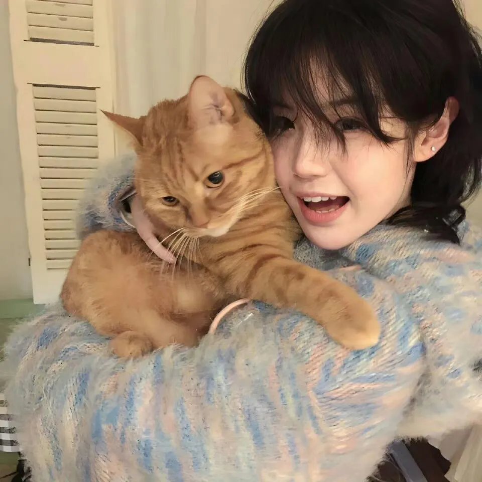 全金属狂潮第三季